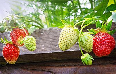 网易疯了！月薪66666低门槛招聘游戏制作人？